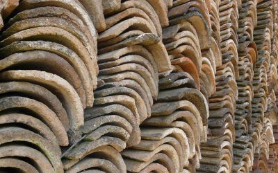 Memòria final del SAF 2012-2020